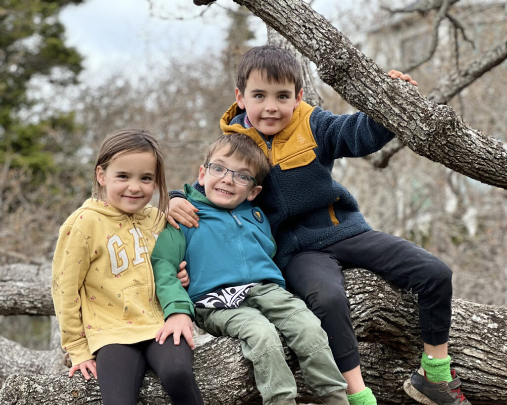 photograph of 3 siblings sitting on a tree branch